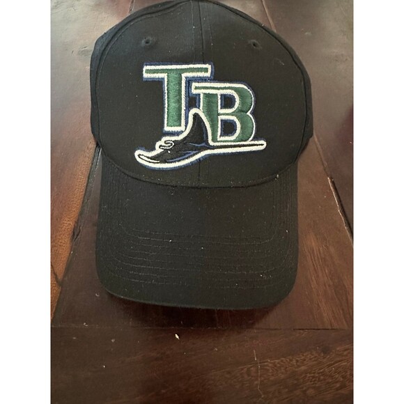 Tampa Bay Devil Rays MLB Hat NWOT - Picture 1 of 5
